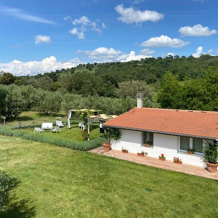 Tenuta Le Mandorlaie, Agriturismo In Скансано Экстерьер фото