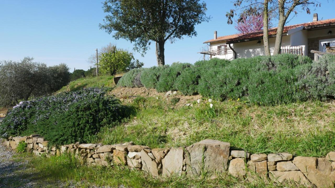 Tenuta Le Mandorlaie, Agriturismo In Скансано Экстерьер фото