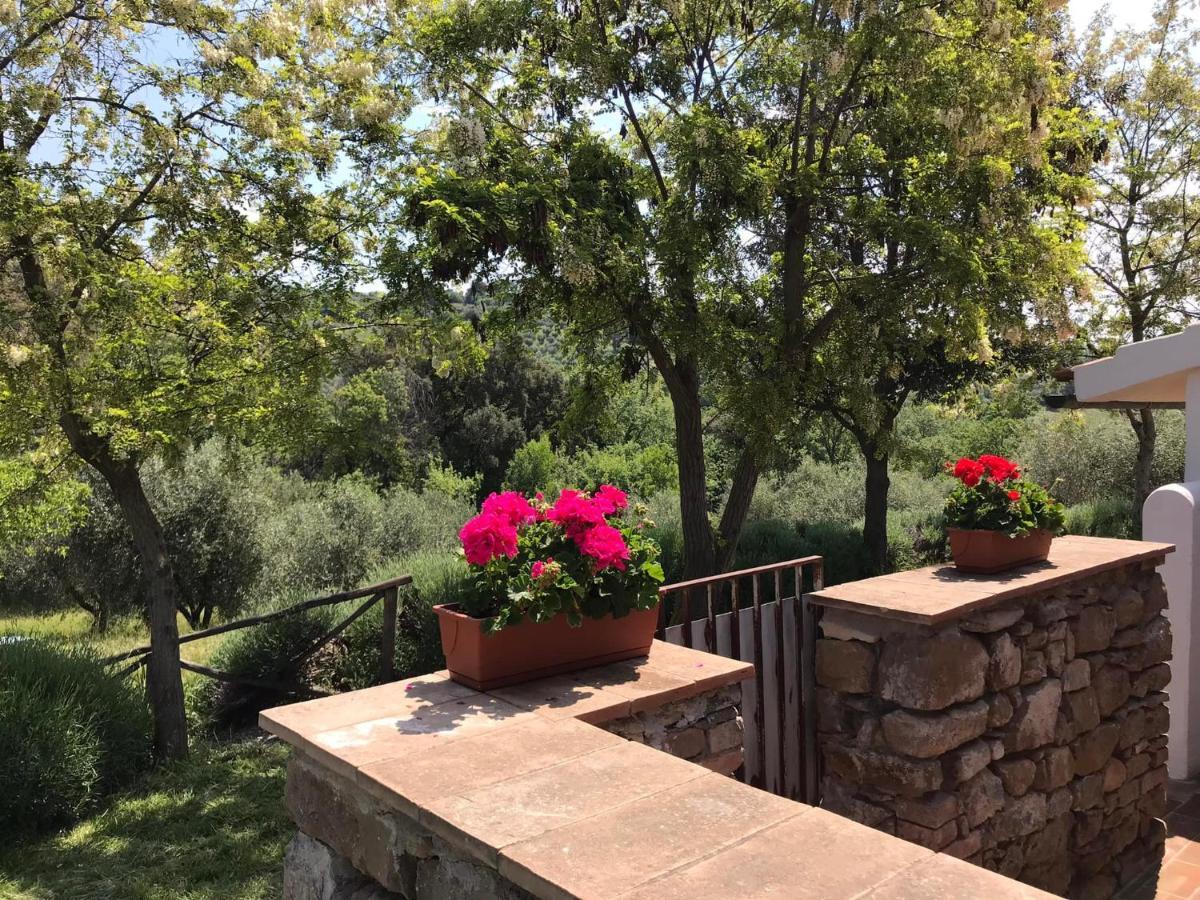 Tenuta Le Mandorlaie, Agriturismo In Скансано Экстерьер фото
