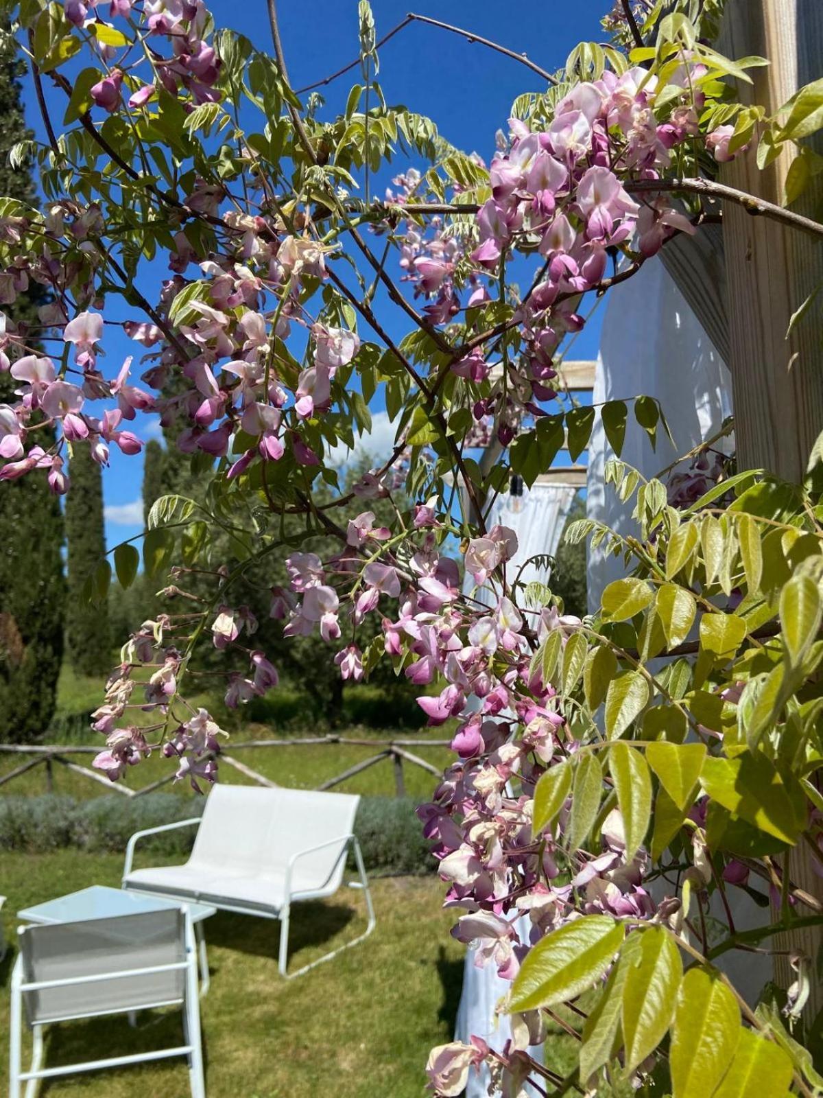 Tenuta Le Mandorlaie, Agriturismo In Скансано Экстерьер фото
