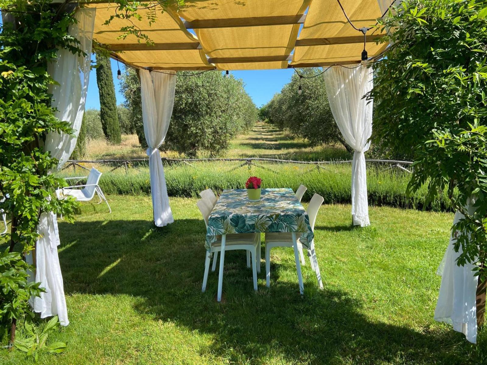 Tenuta Le Mandorlaie, Agriturismo In Скансано Экстерьер фото