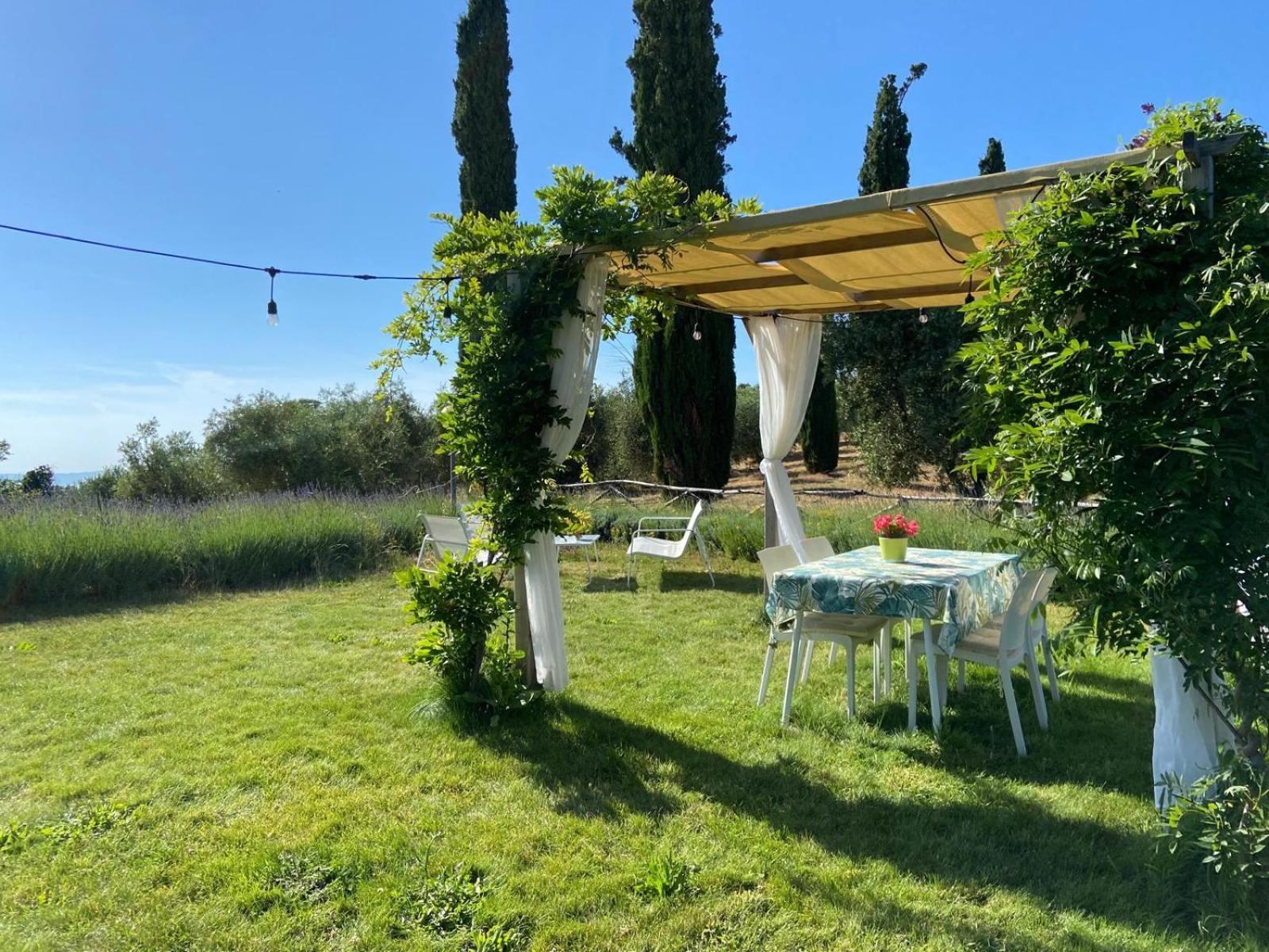 Tenuta Le Mandorlaie, Agriturismo In Скансано Экстерьер фото