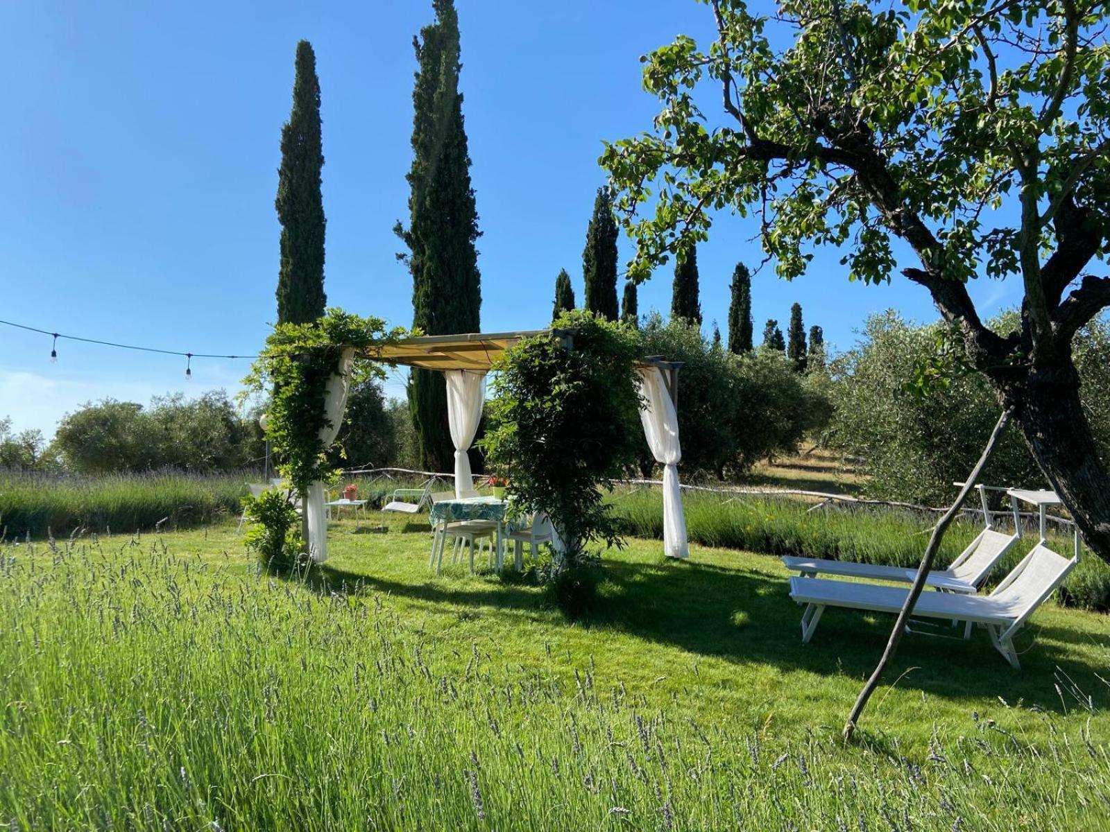 Tenuta Le Mandorlaie, Agriturismo In Скансано Экстерьер фото