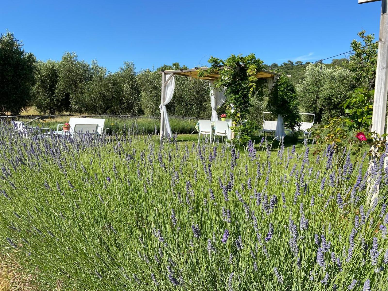 Tenuta Le Mandorlaie, Agriturismo In Скансано Экстерьер фото