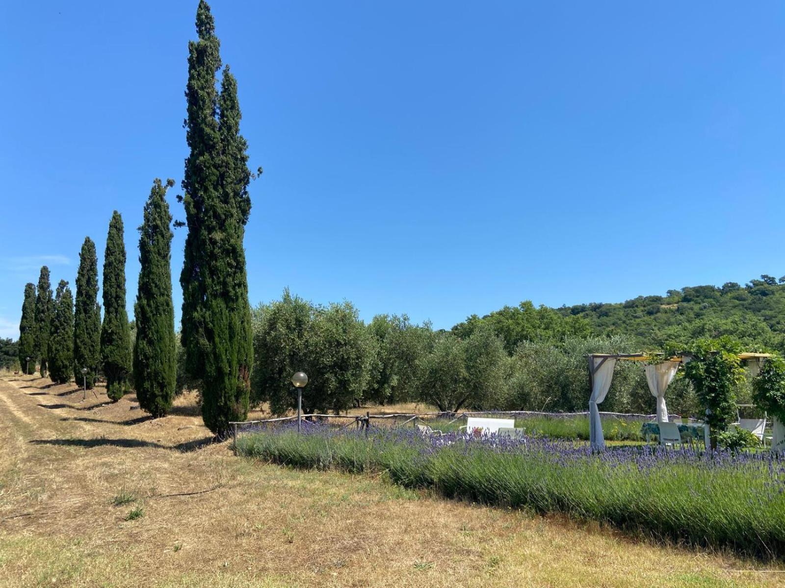 Tenuta Le Mandorlaie, Agriturismo In Скансано Экстерьер фото