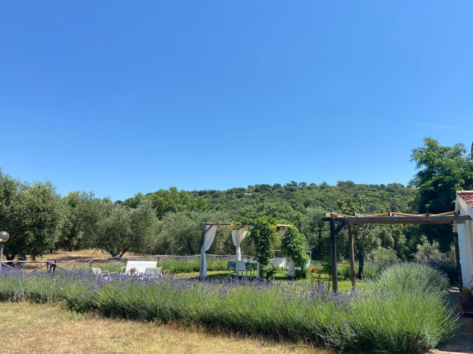 Tenuta Le Mandorlaie, Agriturismo In Скансано Экстерьер фото