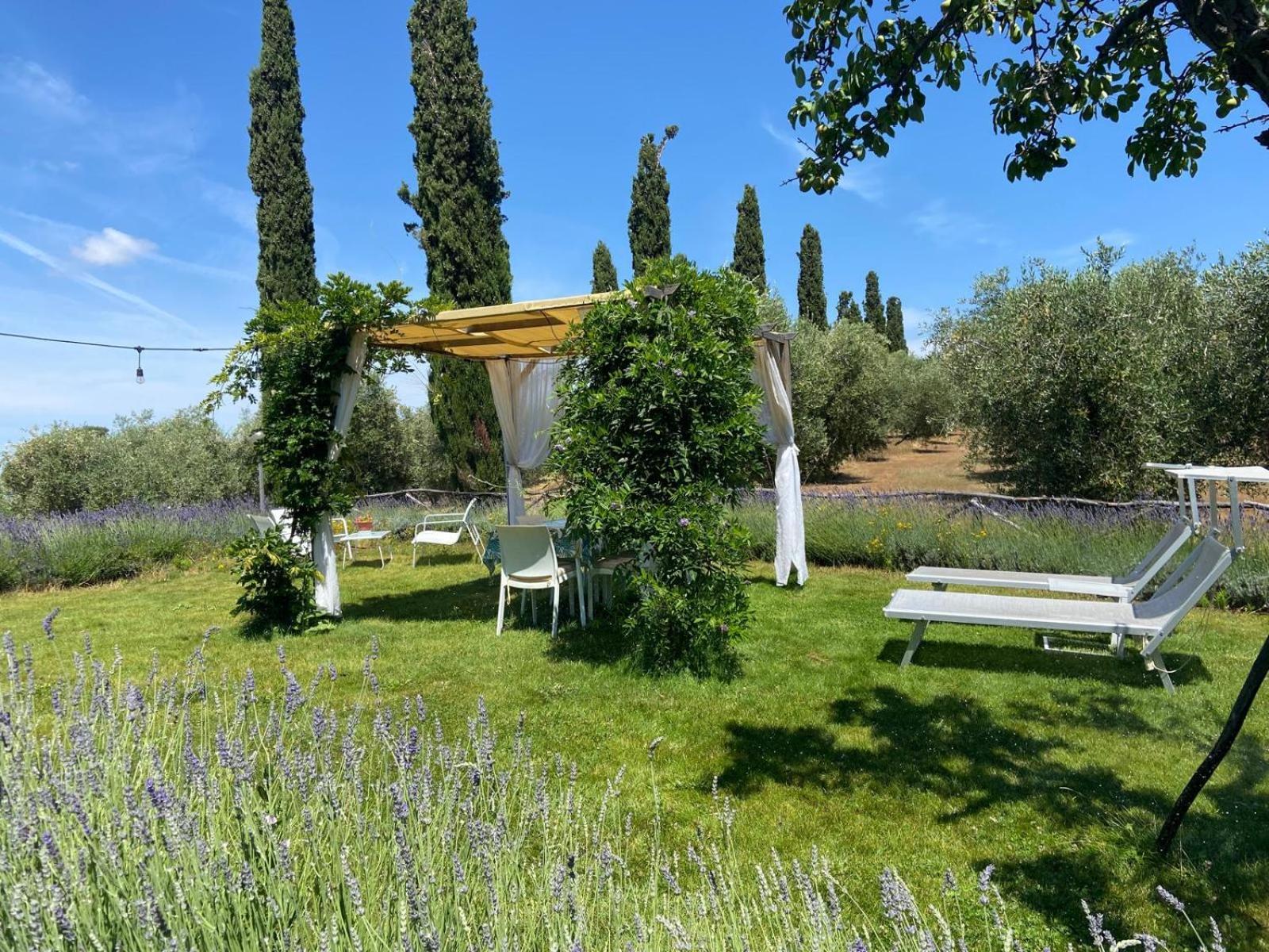 Tenuta Le Mandorlaie, Agriturismo In Скансано Экстерьер фото