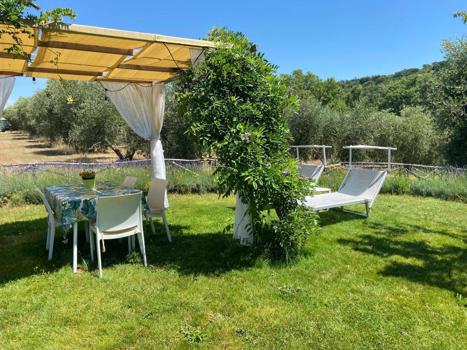 Tenuta Le Mandorlaie, Agriturismo In Скансано Экстерьер фото