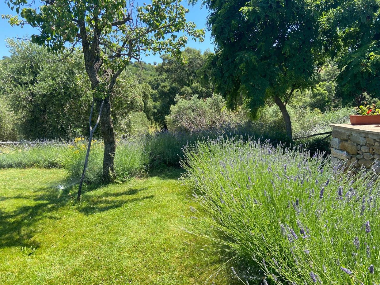 Tenuta Le Mandorlaie, Agriturismo In Скансано Экстерьер фото