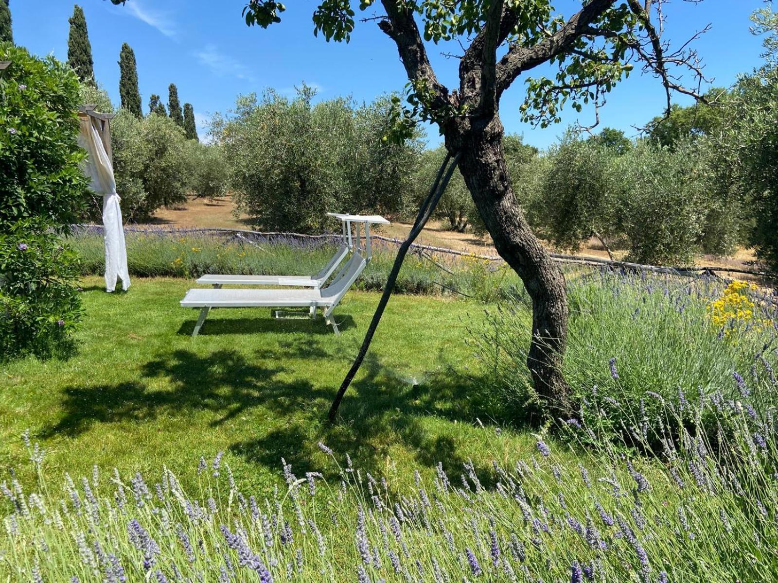 Tenuta Le Mandorlaie, Agriturismo In Скансано Экстерьер фото